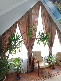 шторы в кабинет косая пальма
